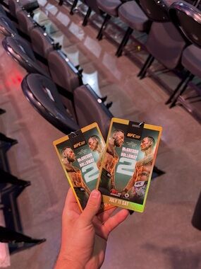 UFC 329 mcgregor vs holloway vip experience pass